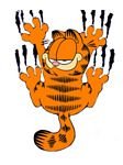 pic for Garfield Cling